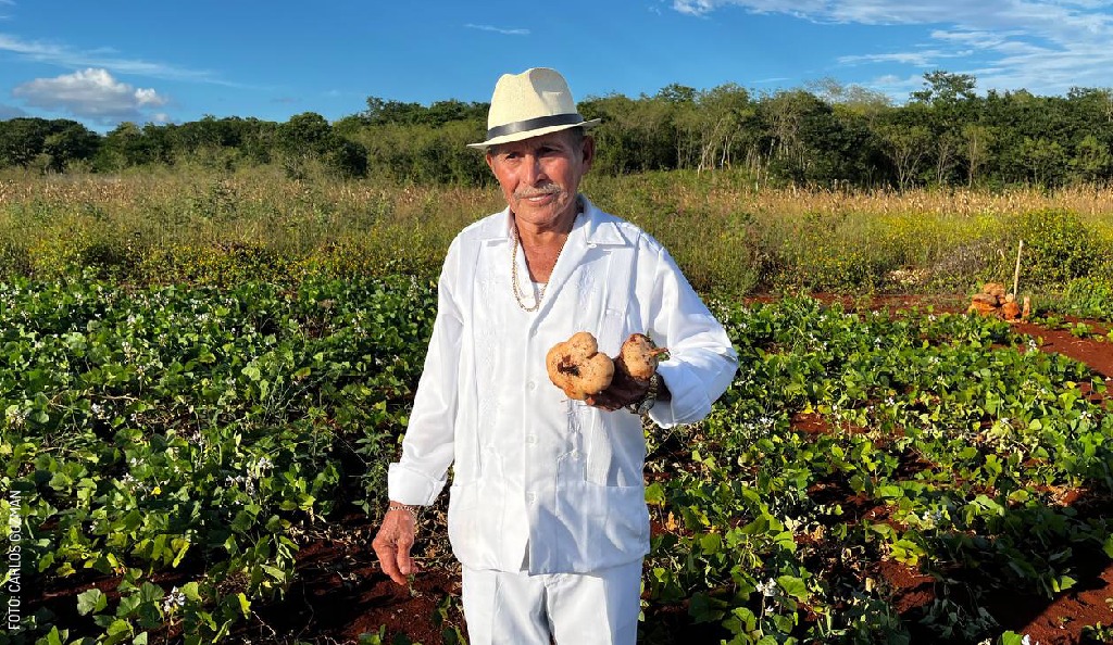 2311-Festival-de-la-Jicama-don-Ausencio-en-Maxcanu-by-Carlos-Guzman-sin-logo-3