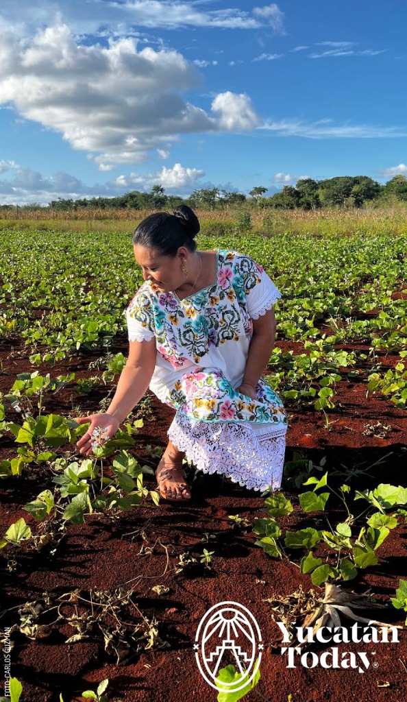 2311-Tour-Jicamero-Dona-Paty-Festival-de-la-Jicama-en-Maxcanu-by-Carlos-Guzman-1