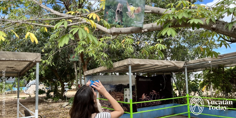Avistamiento de aves en HUNAB Proyecto de Vida by Charlie G.