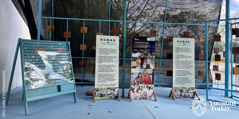 Flyers at HUNAB Proyecto de vida by Charlie G.