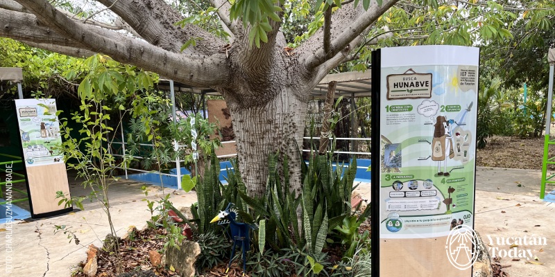 Tree and Flyers around at at HUNAB Proyecto de vida by Charlie G.