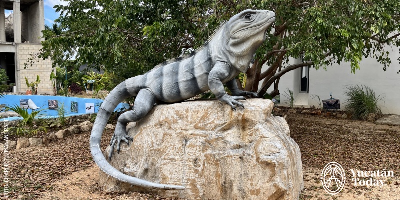 Toloc at HUNAB Proyecto de vida by Charlie G.