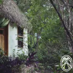 Casa-Maya-by-Valentina-Alvarez-1