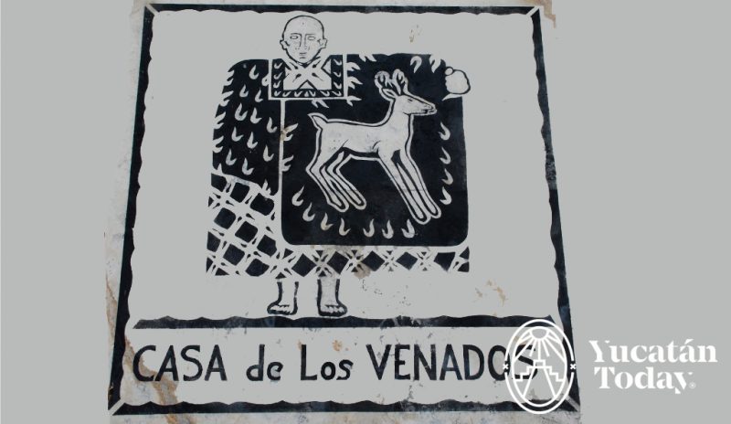 Casa de los Venados valladolid
