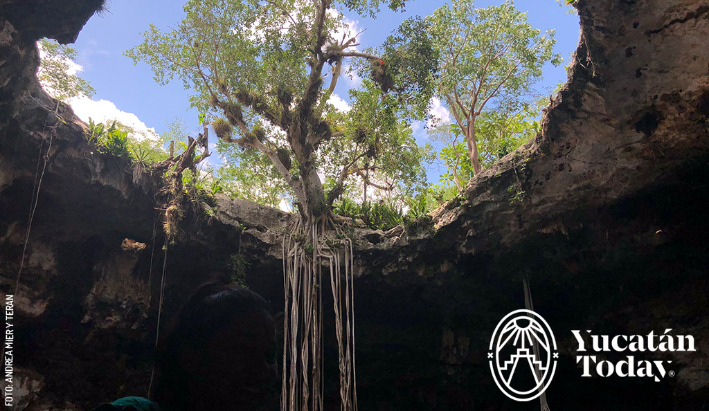 Cenote-Santa-Barbara-1-Homun-by-Andrea-Mier-y-Teran-1