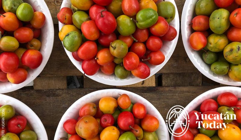 Sabores Tropicales de Yucatán a la Mesa  Ciruela Yucateca