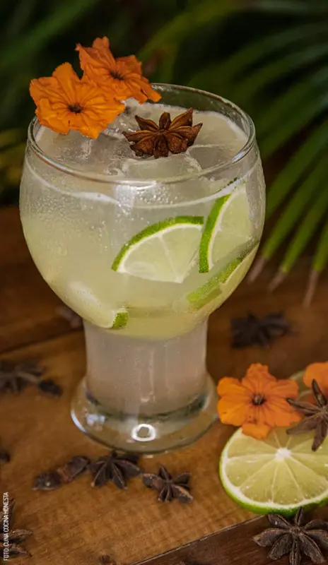 Cocktail-de-Xtabentún-by-Cuna-Cocina-Honesta-IMG_5294