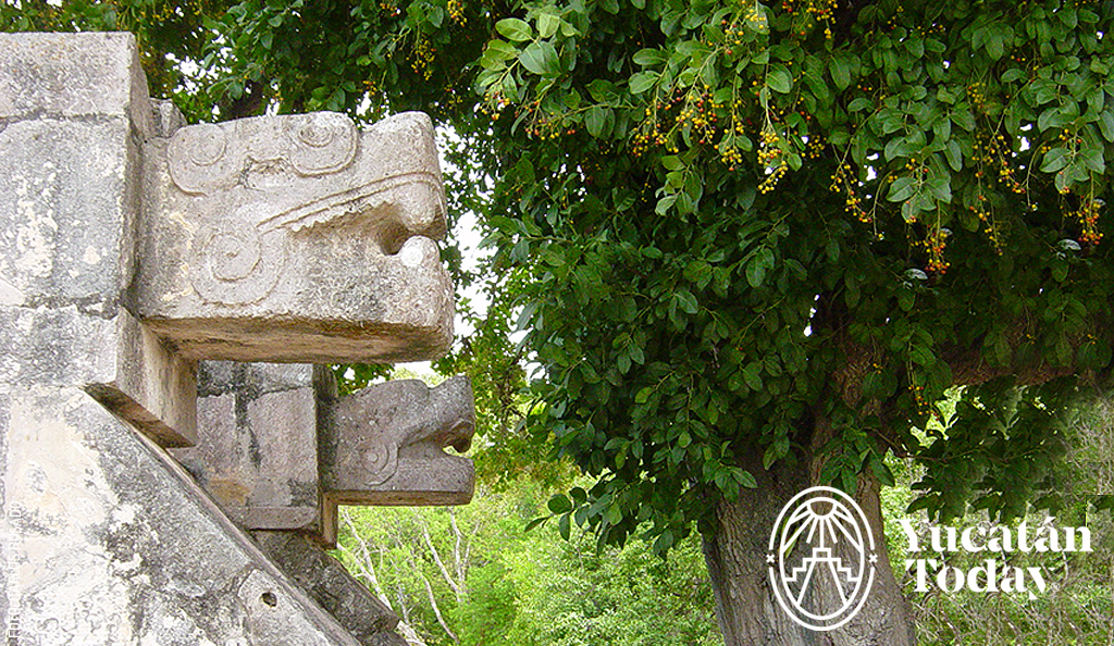 Detalles-Kukulkan-en-Chichen-Itza-by-Carlos-Rosado-Dec-07-2023-05-21-40-0232-AM
