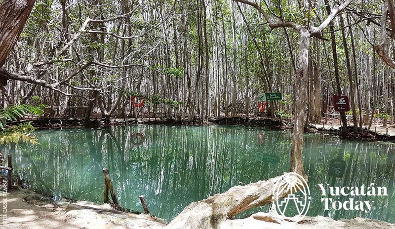 El Corchito en Progreso