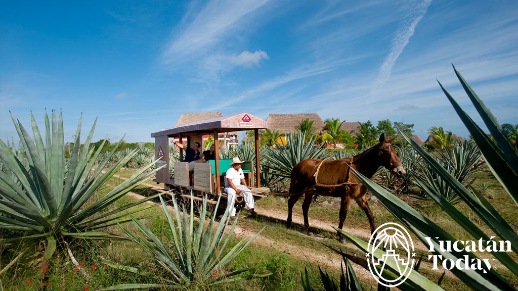 Hacienda-Sotuta-de-Peon-1024x576-1