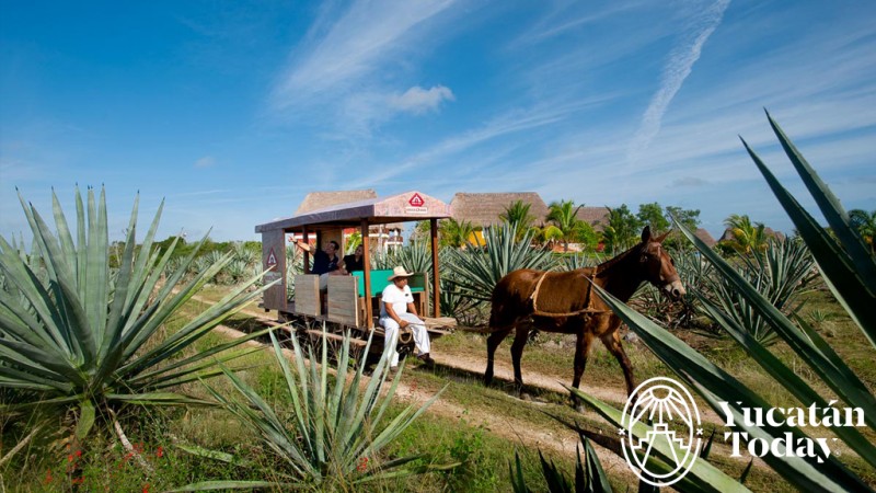 Hacienda Sotuta de Peon
