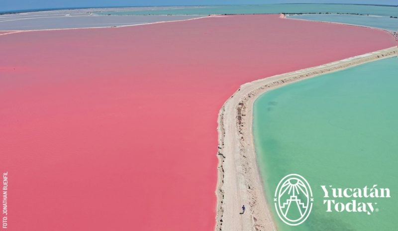 Las Coloradas Yucatan Mexico