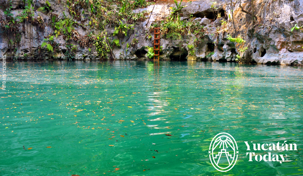 cenote, agua