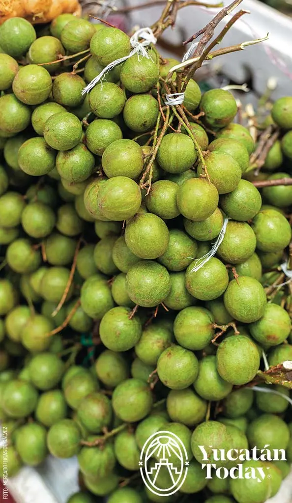 Mercado-Lucas-de-Gálvez-by-Mercado-Lucas-de-Gálvez-1A4A2702