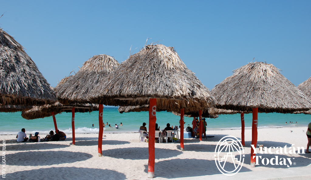 Palapas-en-Progreso-by-Yucatan-Today-Dec-07-2023-05-37-56-8991-AM