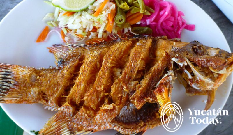 Pescado-frito-2-800x464