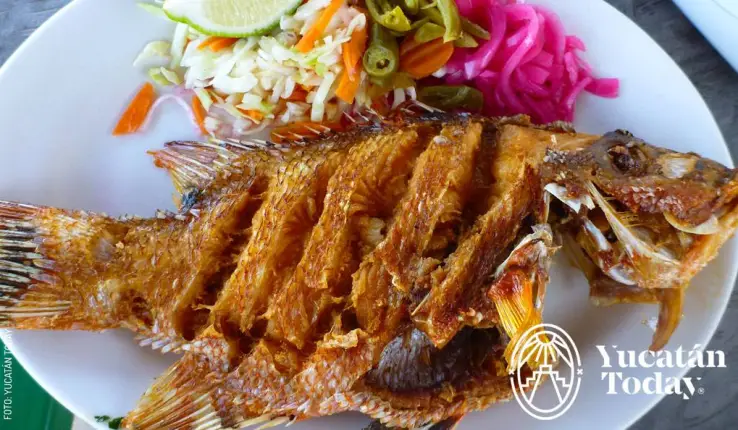 Pescado-frito-by-Yucatán-Today