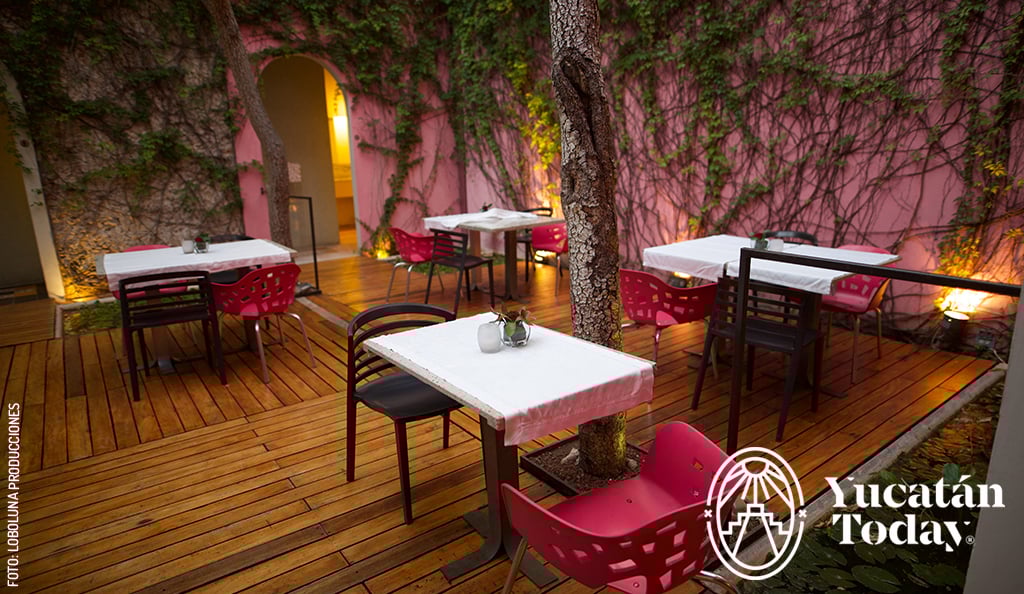 Terraza - Rosas y Xocolate
