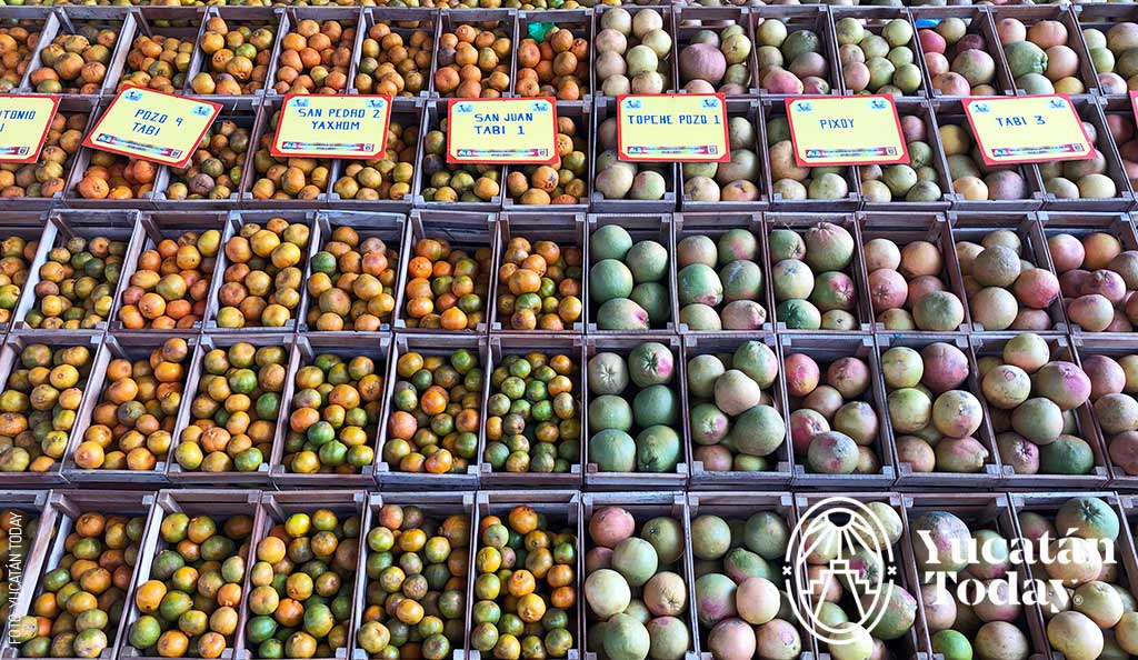 Ruta-Conventos-Oxkutzcab-2018-Feria-de-la-Naranja-by-Andrea-Mier-y-Teran-IMG_0173-1