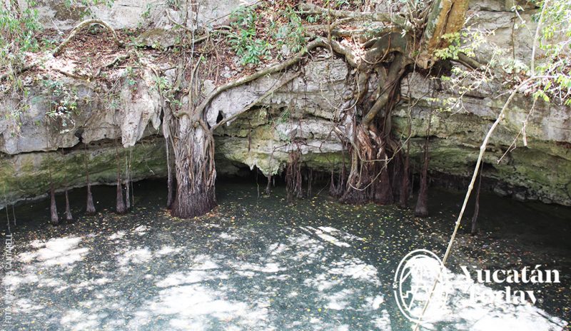 Aventúrate a visitar San Manuel, Tizimín