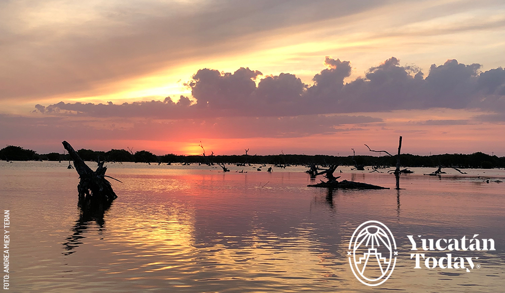 Sisal-mangrove-sunset-atardecer-manglar-by-Andrea-Mier-y-Teran
