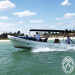 Sisal-tour-lancha-by-Andrea-Mier-y-Teran-150x150