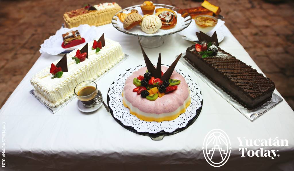 Tala-by-AMANDA-STRICKLAND-3