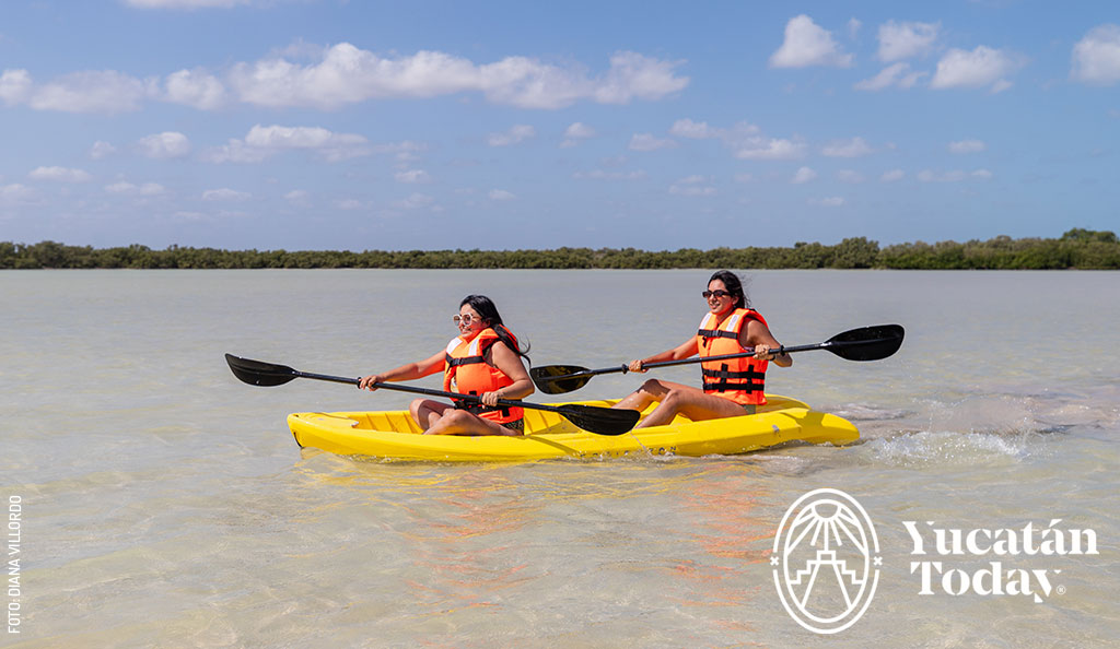 Isla-Pelicanos-en-Chuburna-Puerto-kayak-by-Diana-Villordo