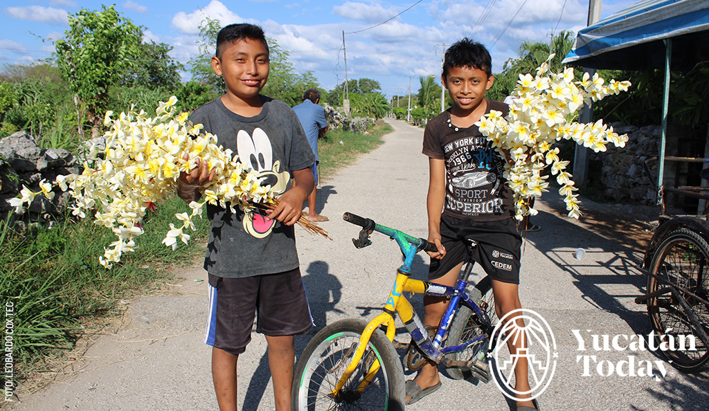 Juul nikte Flores de mayo para la Virgen de Tetiz ninos by Leobardo Cox Tec