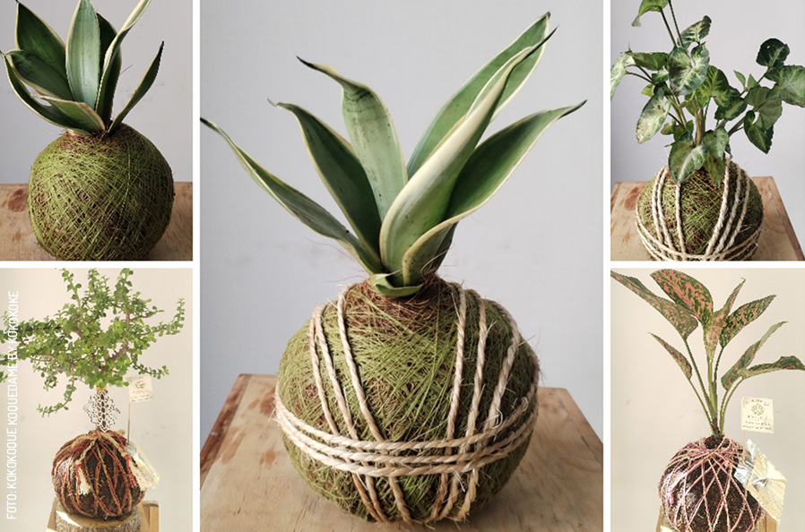 Kokokoque-koquedame-by-Kokokoke