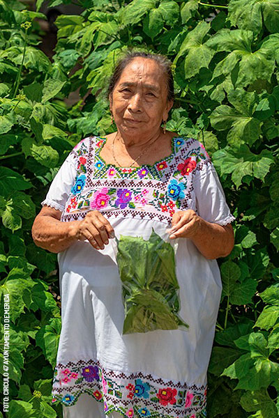 Mestiza-chaya-by-Circulo-47-Ayuntamiento-de-Merida