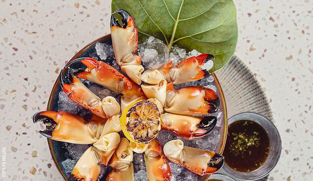 Molusk-restaurante-en-Chelem-manitas-de-cangrejo-by-FB-Molusk