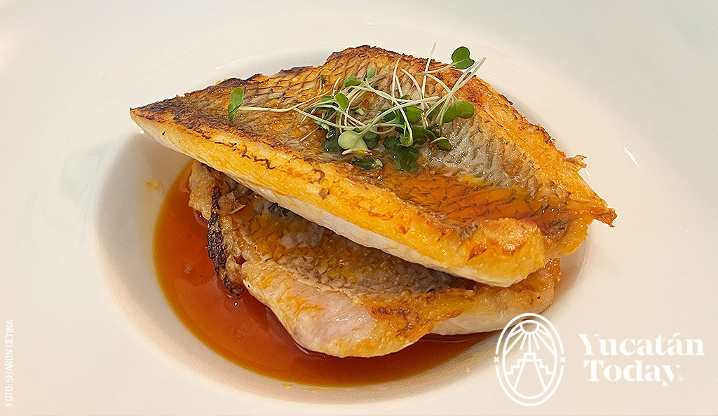 Nai-Conexion-Atlantica-restaurante-filete-de-pescado-hotel-delfina-by-Sharon-Cetina