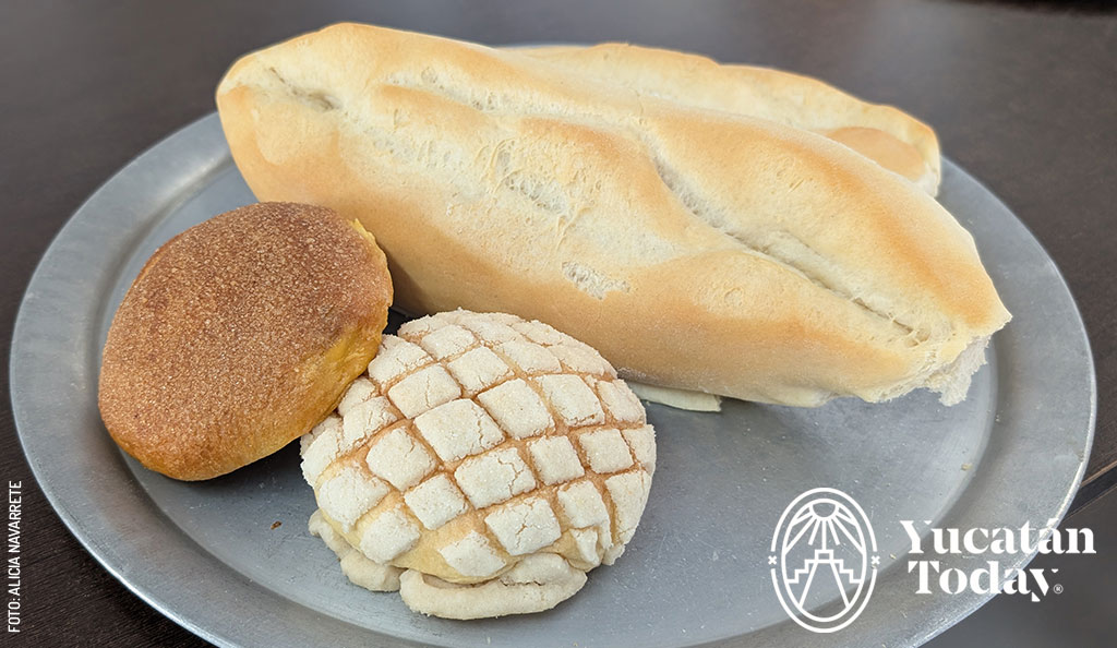 Panaderia-Montecristo-barra-concha-by-Alicia-Navarrete