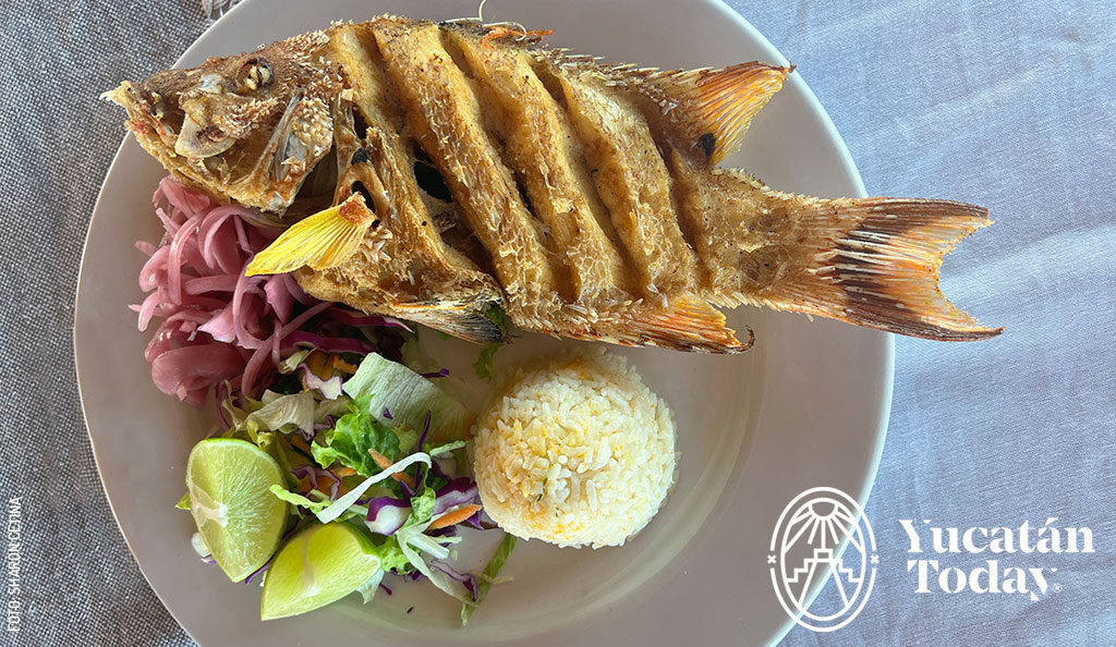 Pescado-frito-los-negritos-rio-lagartos-by-sharon-cetina