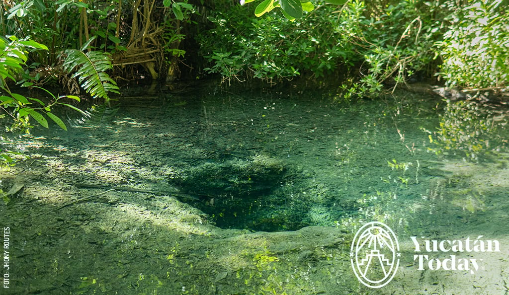 Peten-Culu-ojo-de-agua-manglar-mangrove-by-Jhony-Routes