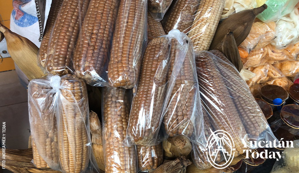 Pibinal-Elote-en-bolsa-mercado-by-Andrea-Mier-y-Teran