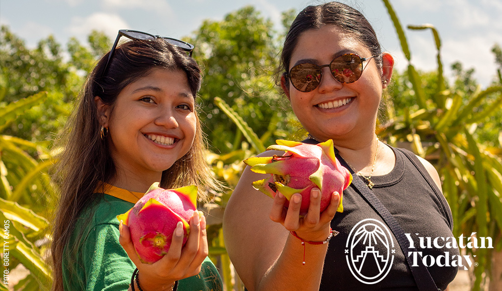 Pitahaya-cultivo-Yucatan-4-by-Goretty-Ramos