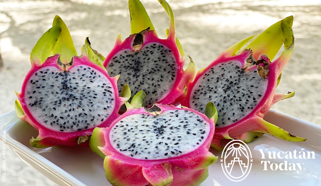 Pitahaya-fruta-Yucatan-by-Andrea-Mier-y-Teran