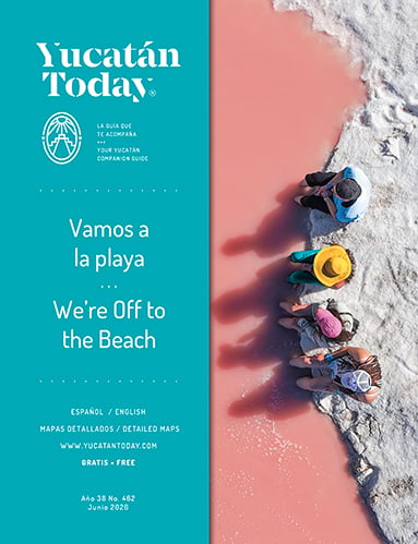 Portada de revisata