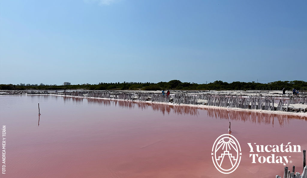 Salinera-Xtampu-2-by-Andrea-Mier-y-Teran