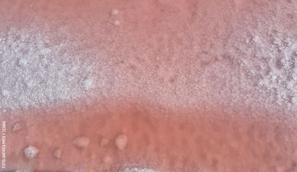 Salinera-Xtampu-closeup-by-Andrea-Mier-y-Teran-sin-logo