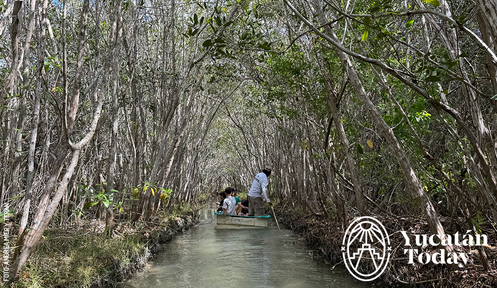 San-Crisanto-chalana-manglar-by-Andrea-Mier-y-Teran