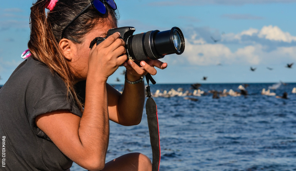 San-Felipe-avistamiento-aves-pelicanos-patos-naturaleza-by-Coox-Mayab