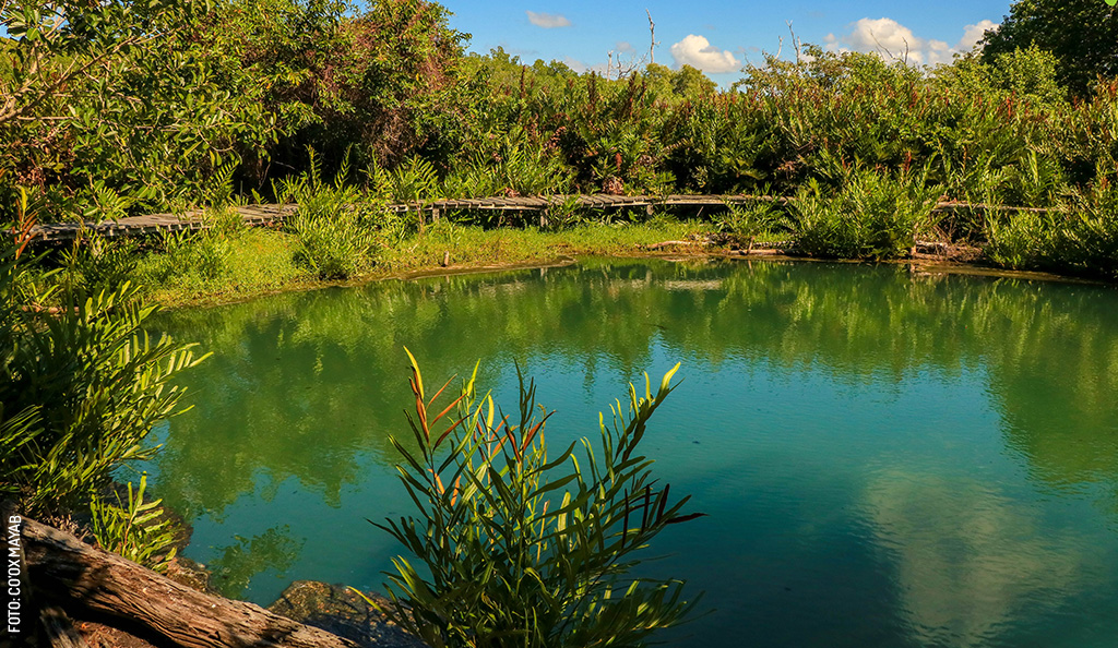 San-Felipe-ojo-agua-kambulnah-by-Coox-Mayab