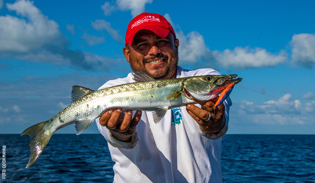 San-Felipe-pesca-sabalo-pedro-figueroa-fauna-naturaleza-by-Coox-Mayab