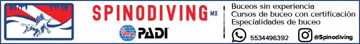 SpinoDiving-SW-Abr-26