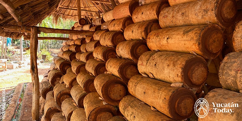 Jobones-Meliponario-U-Naajil-Kiin-en-Mani-by-Yucatan-Today